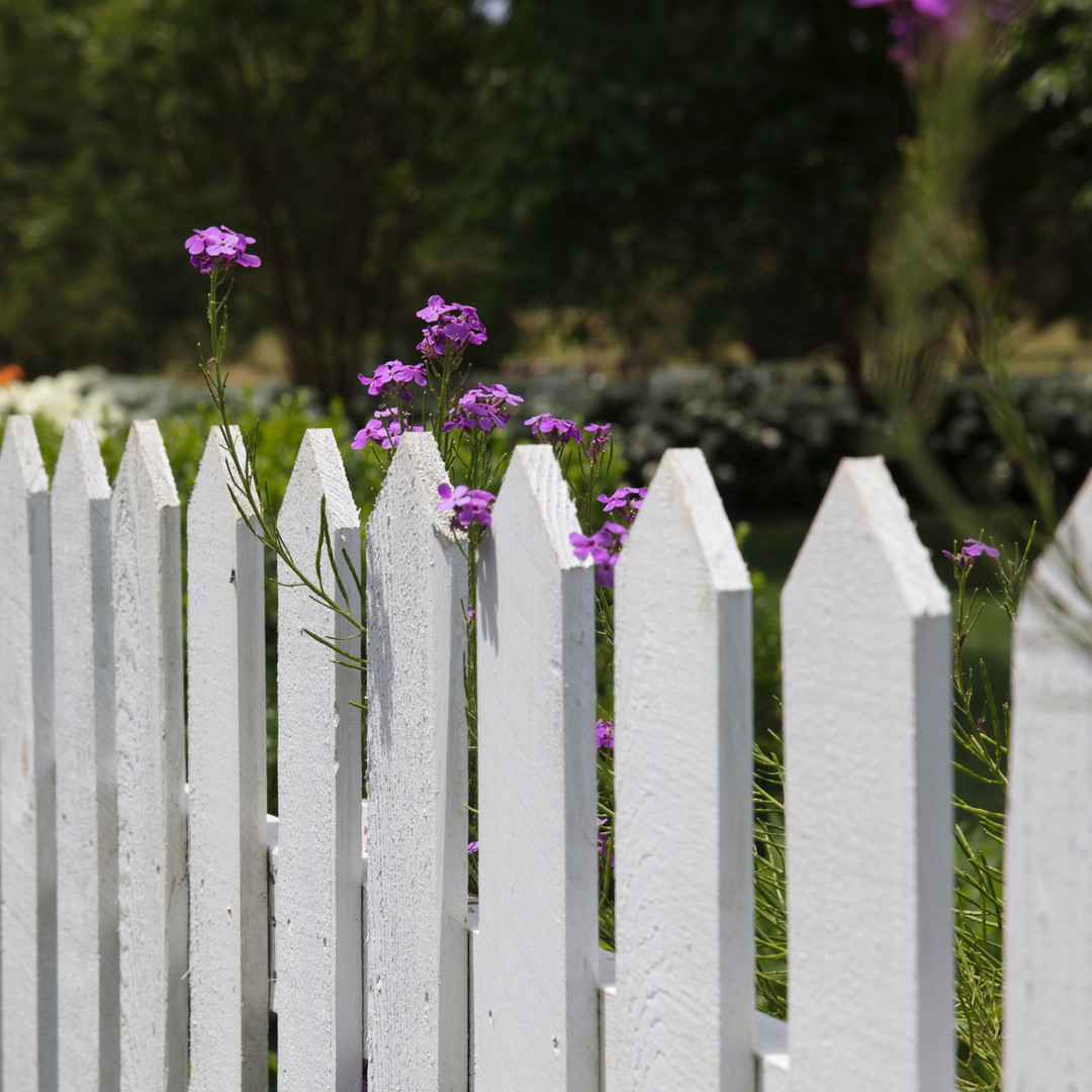 How to avoid breaching the Fencing Act Armstrong Murray